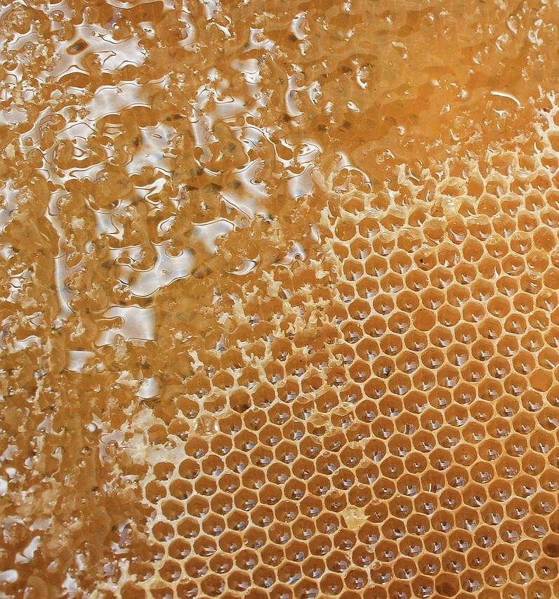 Beeswax