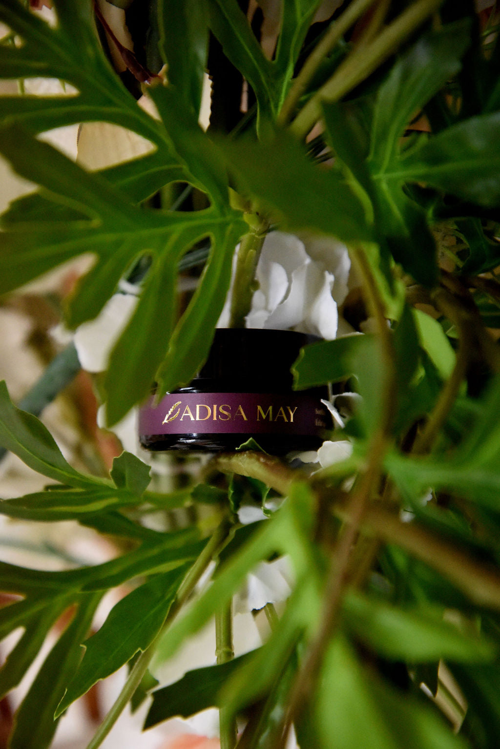 Adisa May product in a plant setting