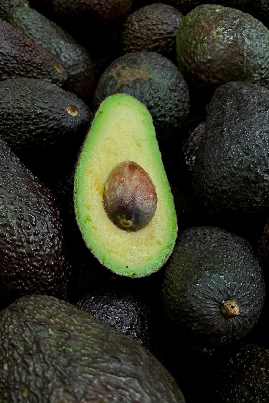 Avocado Oil