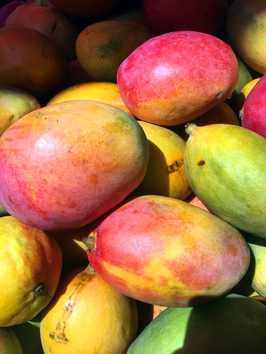 Mango Seed Butter