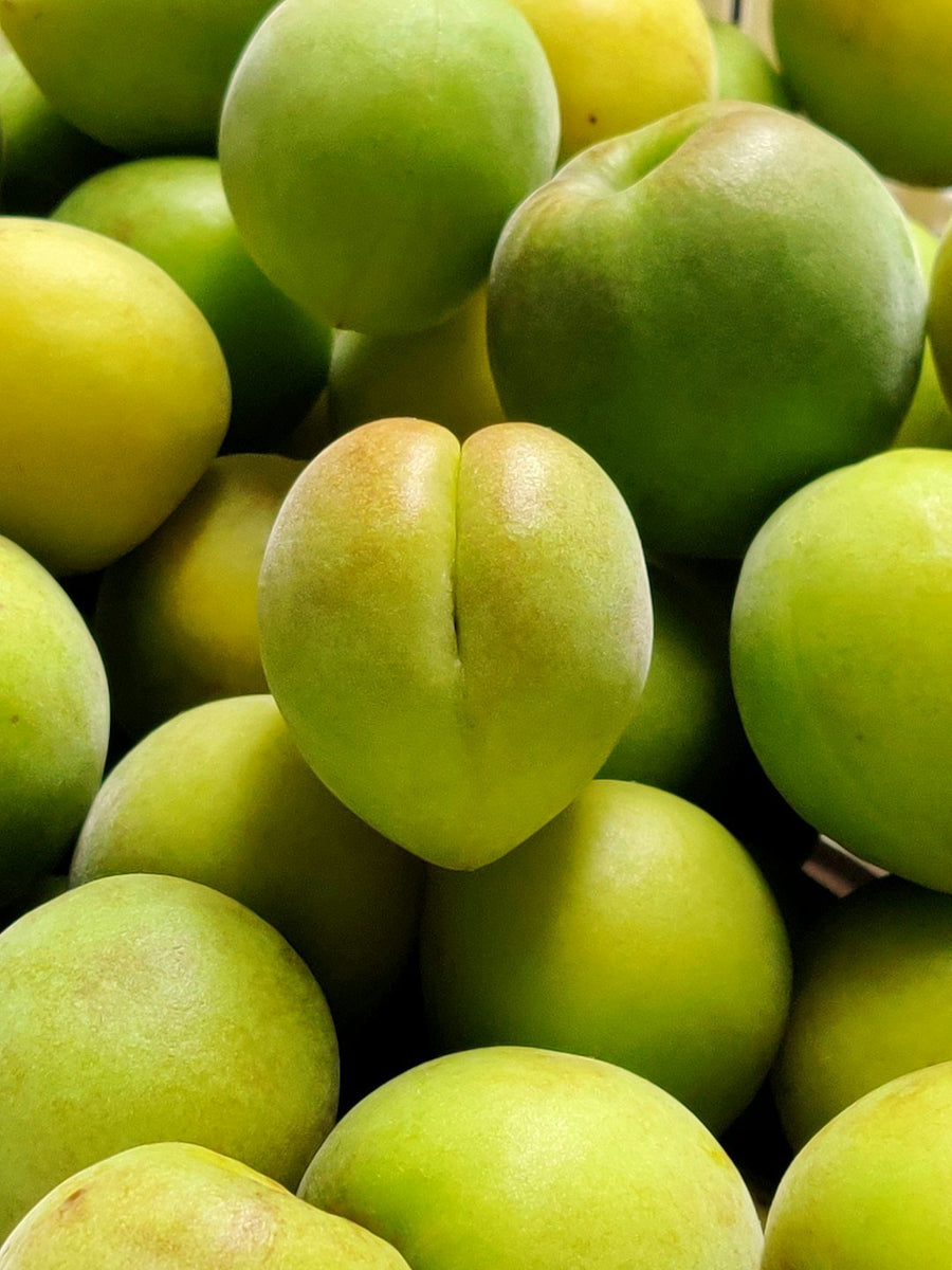Kakadu Plum Oil