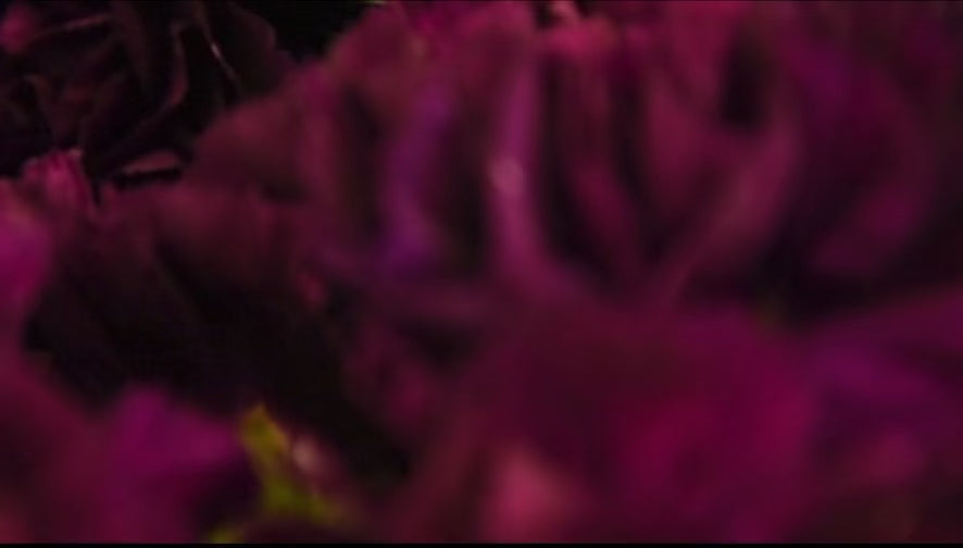 Adisa May Skin Care Product